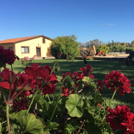 Agriturismo Sechi Campanedda エクステリア 写真
