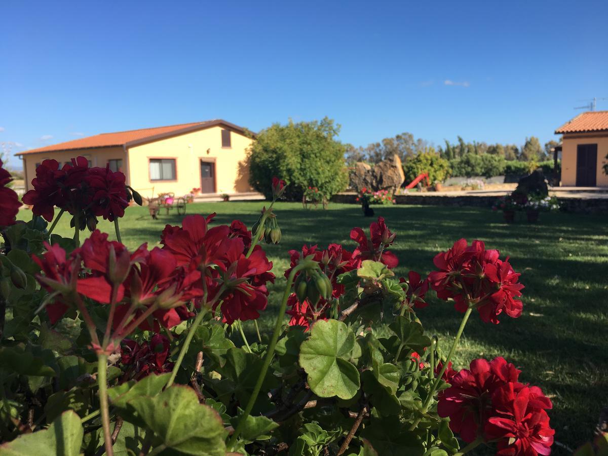 Agriturismo Sechi Campanedda エクステリア 写真